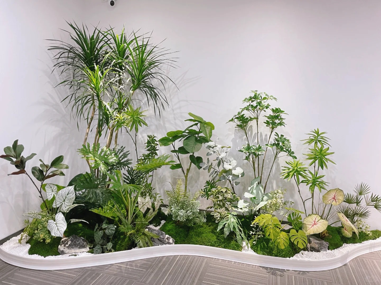 余姚盆景出租,用绿植装点美好生活